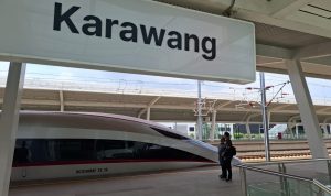 IMG-20250122-WA0010