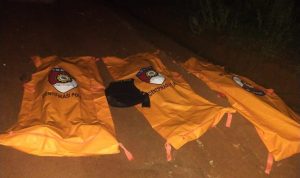 IMG-20250318-WA0019